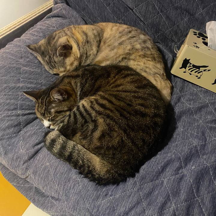 1d746a90 c655 438e aef6 3d80da590791 1704044699242