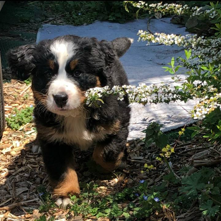 1d746c96 577e 4966 a526 d6e760eaa196 1555818778658