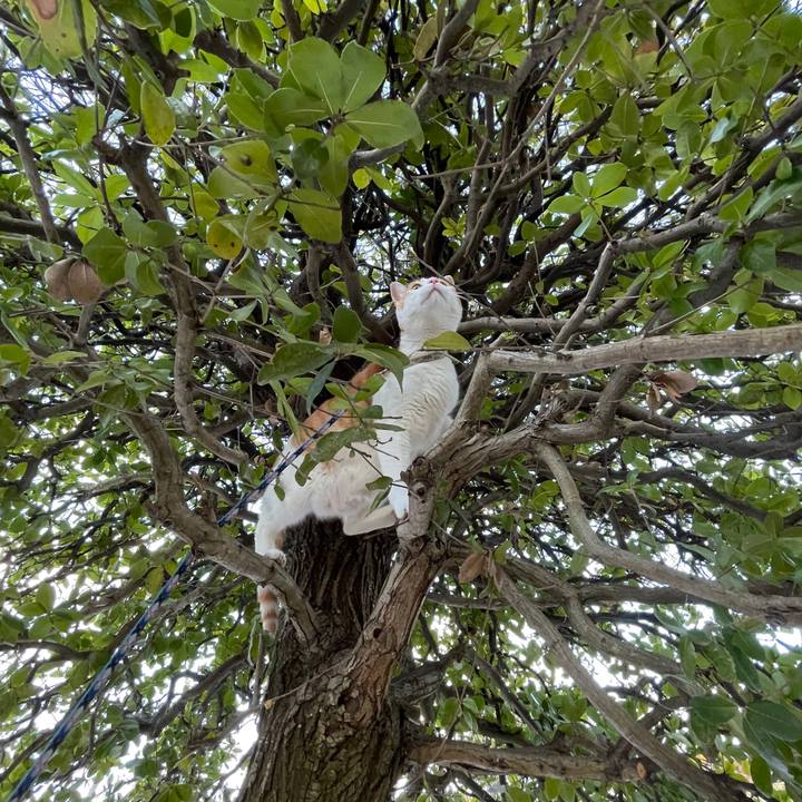 1d74723a 46c2 456f 8127 f6f11f4f9961 1645868726486