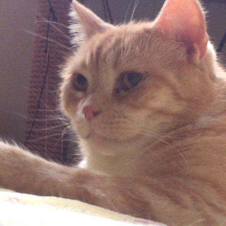 1d747421 8eb2 4d7c 9b24 868657e4c3e7 1547133769949