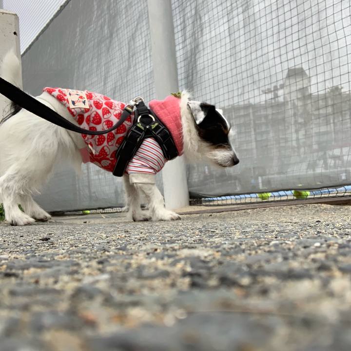 1d749414 ce1a 4e7f ad6f 69f2f59b4eb2 1553909300077