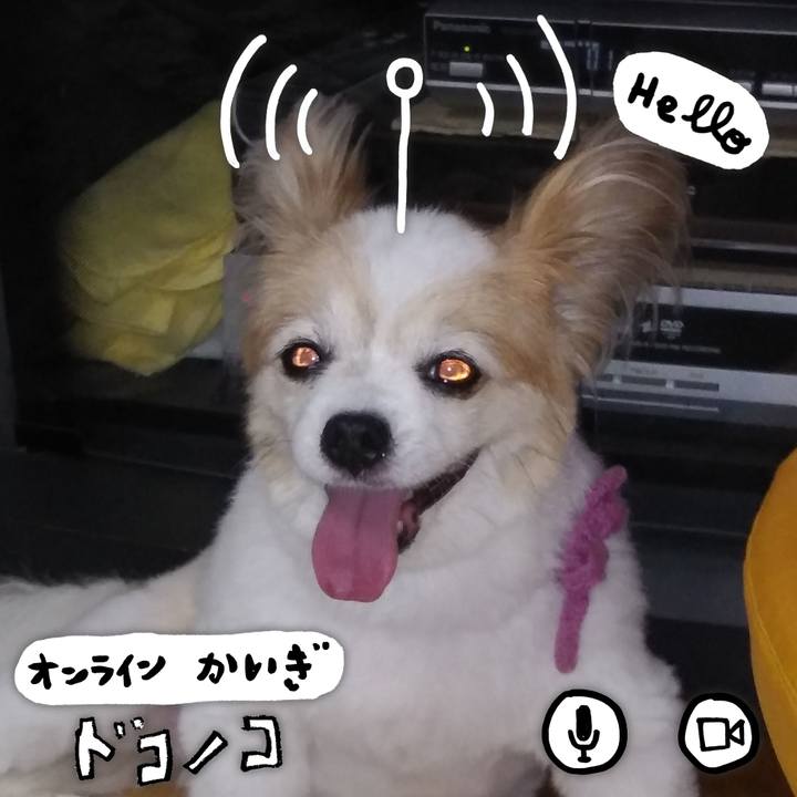 1d74949a 0701 4549 a4ce 68ce9668957f 1590766234741