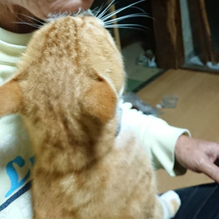 1d74b60e 204a 4525 80cc 34bd2403c1e0 1602101731573