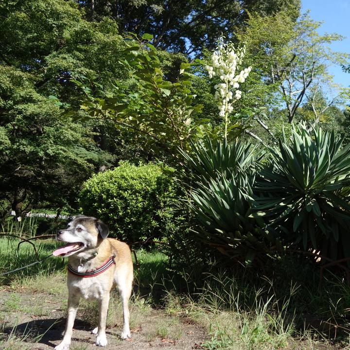 1d74c5fb 171a 43f7 9c30 c3618c67f2aa 1647045432073