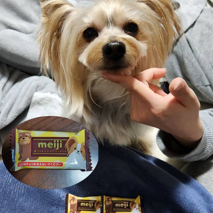 1d7583b1 79b3 491c be9e 2ac7e2eae165 1707652884506