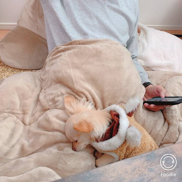 1d758c47 eca0 4164 8304 6e232371eeca 1608351460018