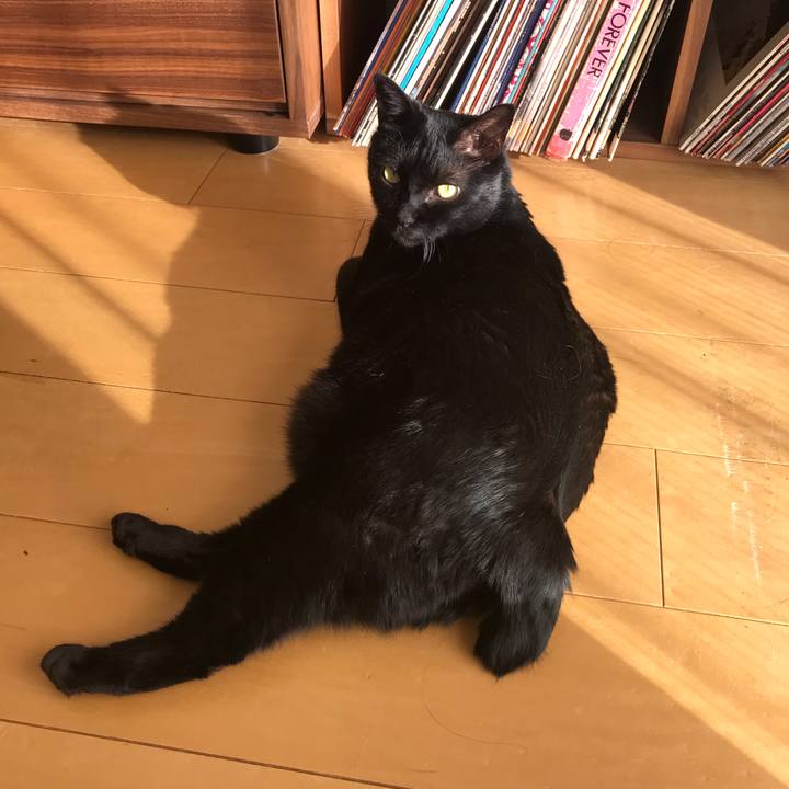 1d75b7d6 a084 4055 8987 658c38a925e5 1546494517375