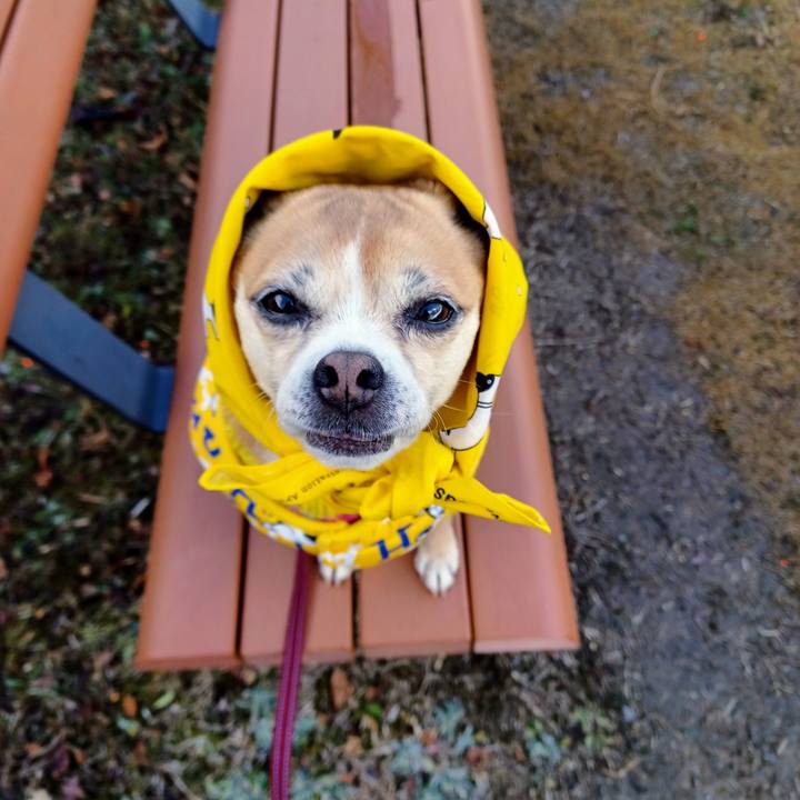 1d75cae5 8f5c 48a7 beb9 649f29ab712e 1674877881745