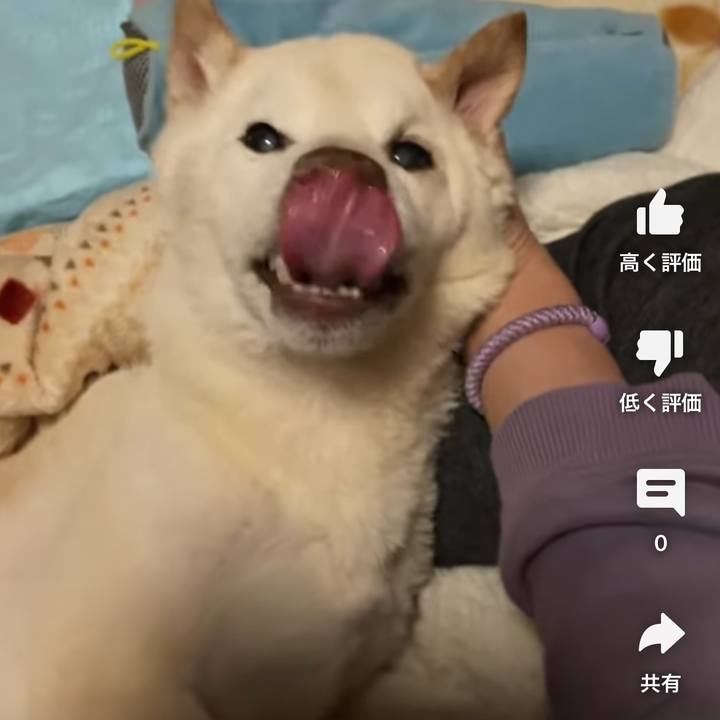 1d75d652 2688 4864 b498 16068337fc3a 1676476760005