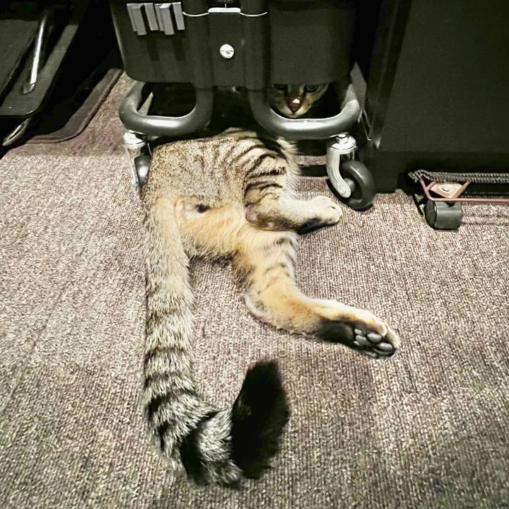 1d761445 2f9b 419c b7b1 26e8f6e1e4a0 1761832687736