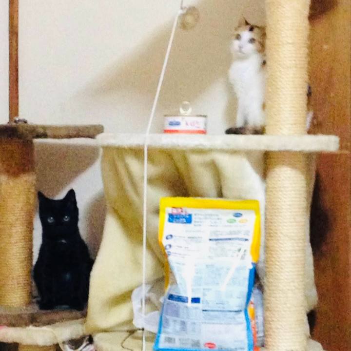 1d763d4d 75fc 4c59 9875 91829f7f9040 1767176301921