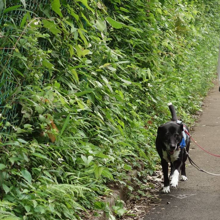 1d7668d7 6593 465d af32 cfab8543c5eb 1748820350238