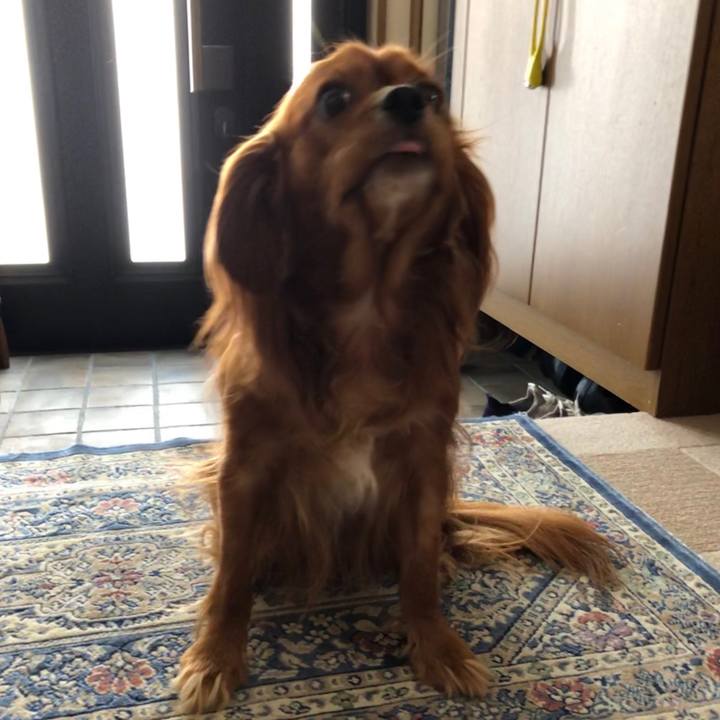 1d767be7 bd13 4157 82bf b2bb0081a1a1 1564877989019