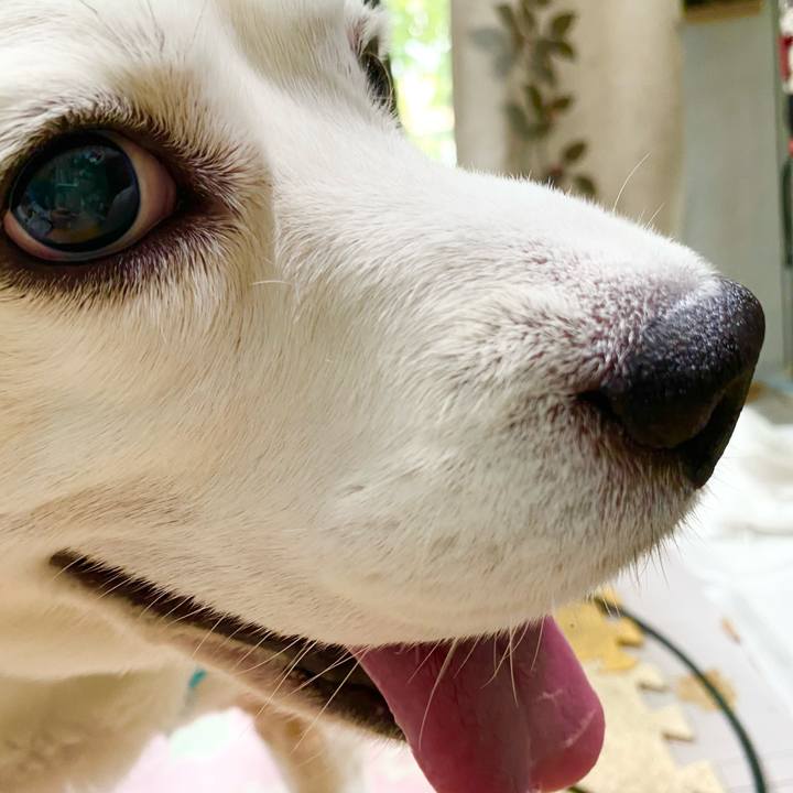 1d7685f1 ac2e 4755 abb0 7b38189dc99a 1654055757795