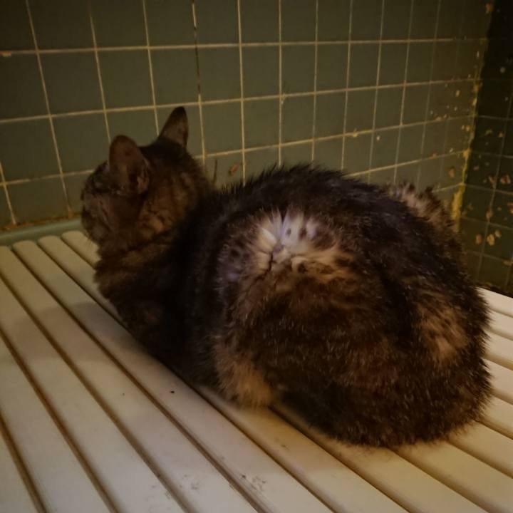 1d768ccb 77d3 472b b7b3 dadc9c1e9f17 1568061228071