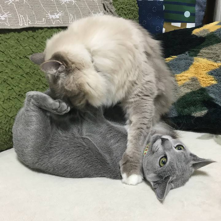 1d768f46 8db8 47db 956e 70231d801dc9 1512910952151