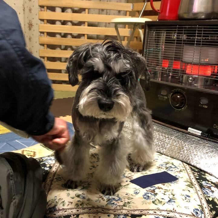 1d76957e 4248 48b5 b0f6 264ce0c31b72 1671961187996