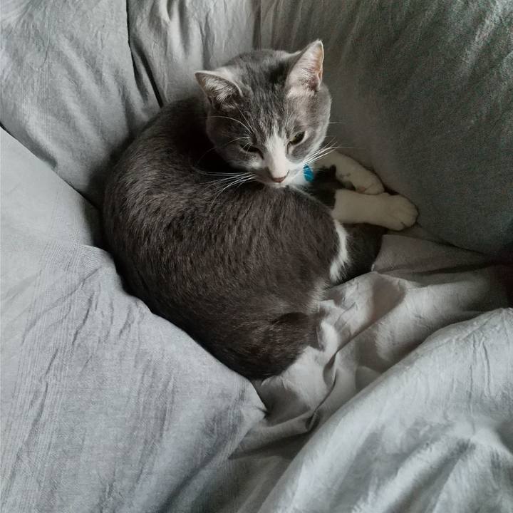 1d7699a2 d454 4065 94d3 45dcbb236113 1641871139337