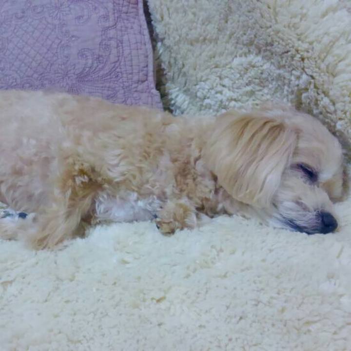 1d76b034 1dc2 4802 a04a 6dcff3fbadbf 1554023960683