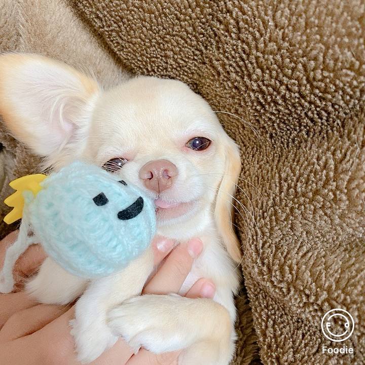 1d76da12 4103 4994 b2a3 f89c383868e3 1603155135188