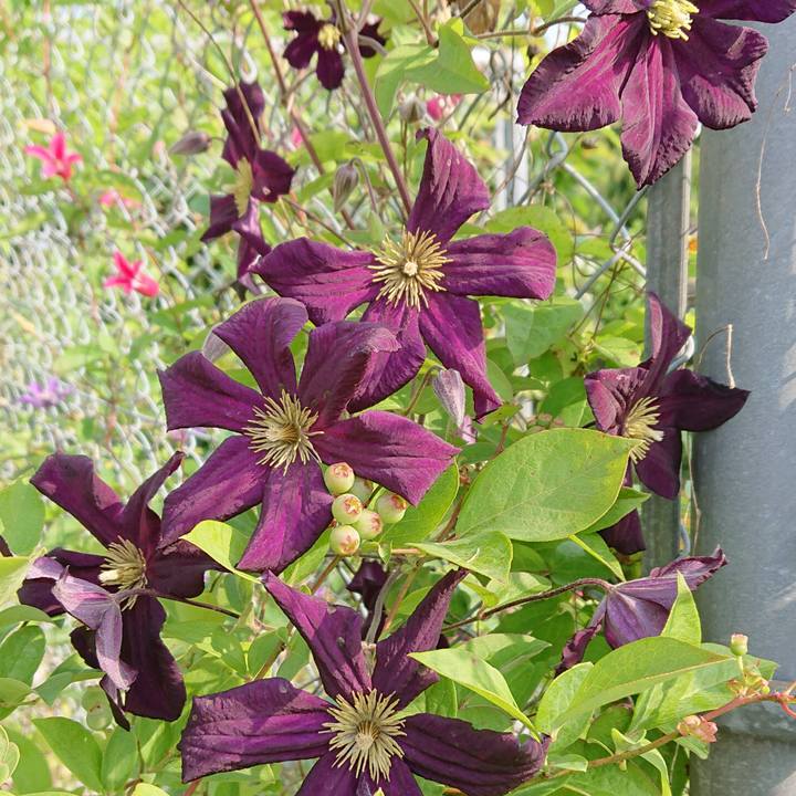 1d76dcbe 43a0 4ed4 8f94 b8d22cf4bc83 1653264614409