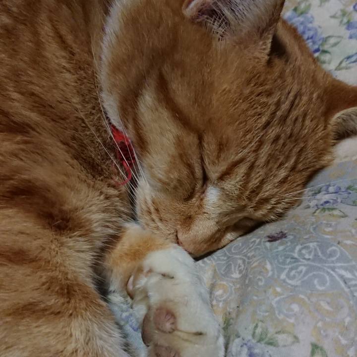 1d76e167 d974 415b 910b 43cf06ae7b0c 1575807849128