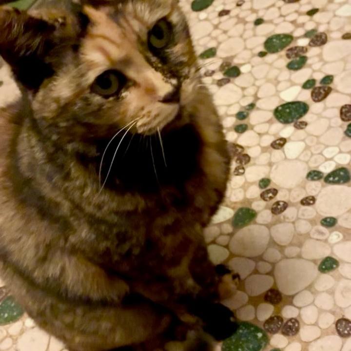 1d770aa2 e6f1 4bde ae38 c6dd93e13777 1763669748485