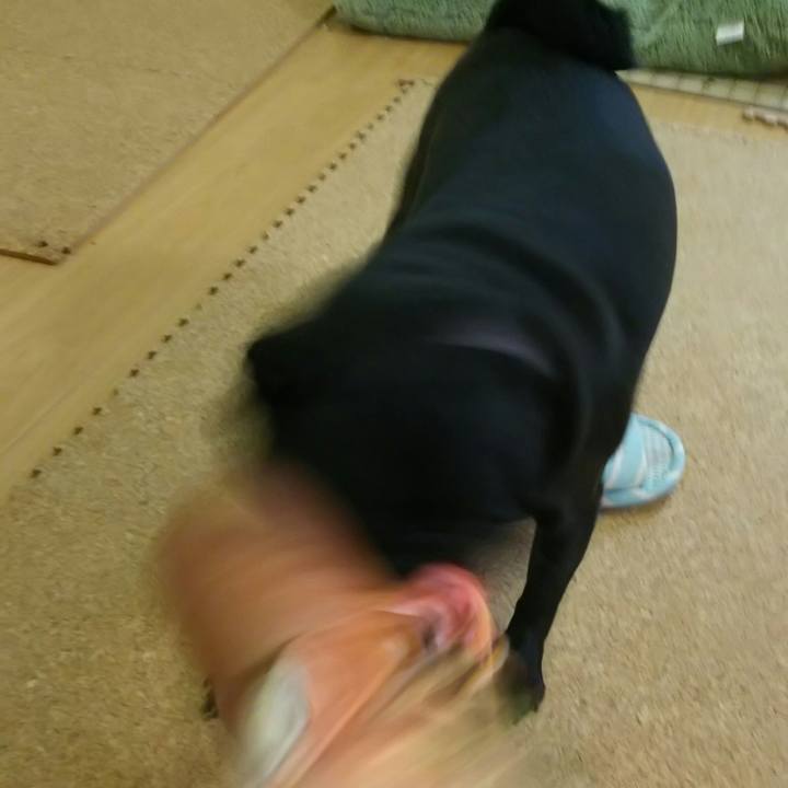 1d773c3c 0d87 4ade af5f b6f972369c07 1534322781674