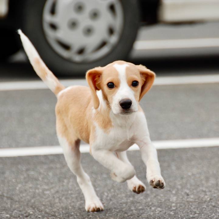 1d7760e8 3ea8 404f 9e32 7f0f6b62415b 1534655553106