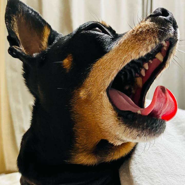 1d777d87 2694 4ea4 b443 1c16f1706e93 1769642174668