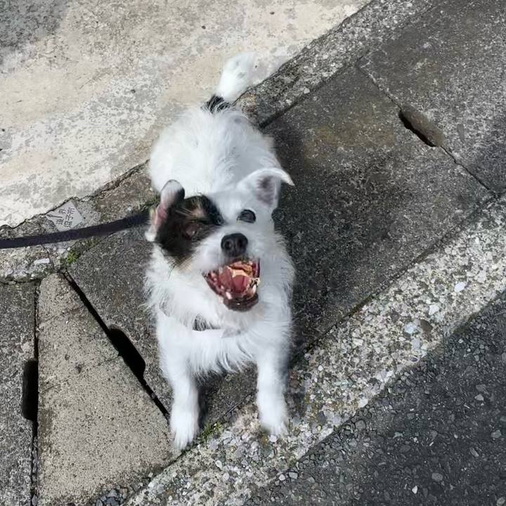 1d77f1f7 af97 4bd6 8725 9b235844b2c9 1654820130301