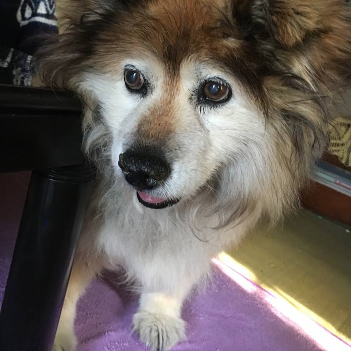 1d782aab adb7 4130 923a 8106af205de3 1583298236481