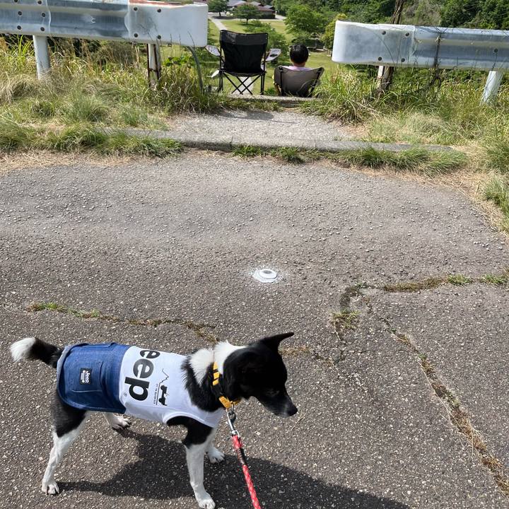 1d7849c1 7473 469b 9016 ce5eda89dff2 1747620977751