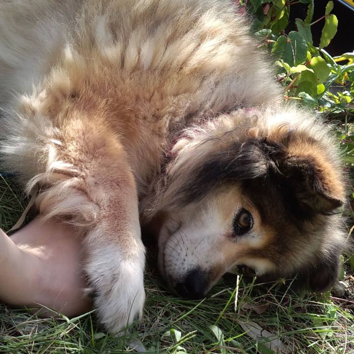 1d785611 f3e5 4c6f 8baf d6e784438380 1611192606885