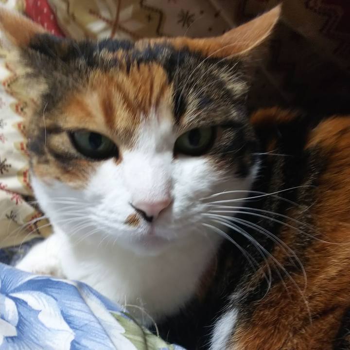 1d7893d3 e0f0 416c b5d9 787b1b35b56c 1581457753743