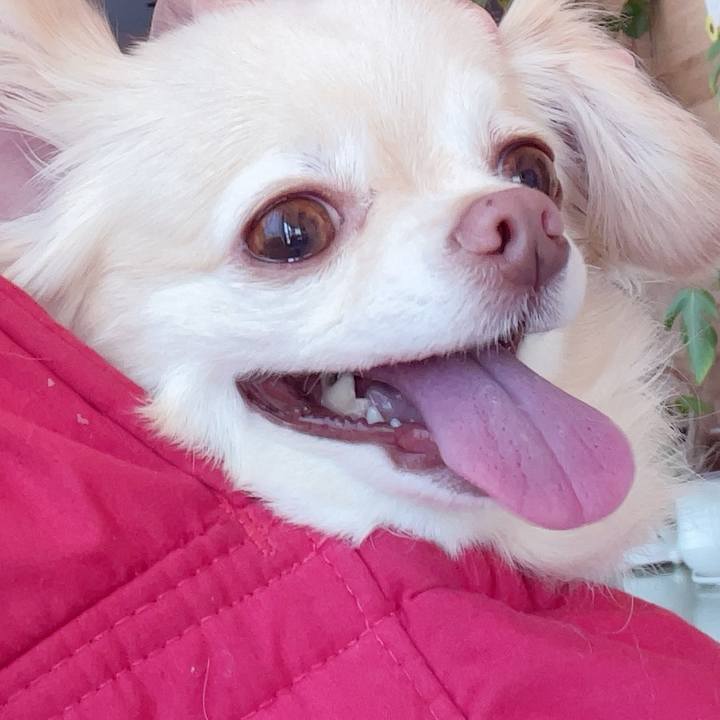 1d790631 5d0b 459a 807a 940aac256b8f 1753601005356