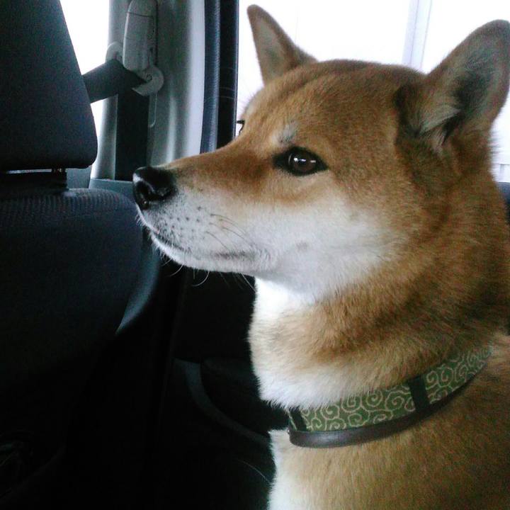 1d791993 f41f 4548 bca5 4d09f449910e 1523659348412