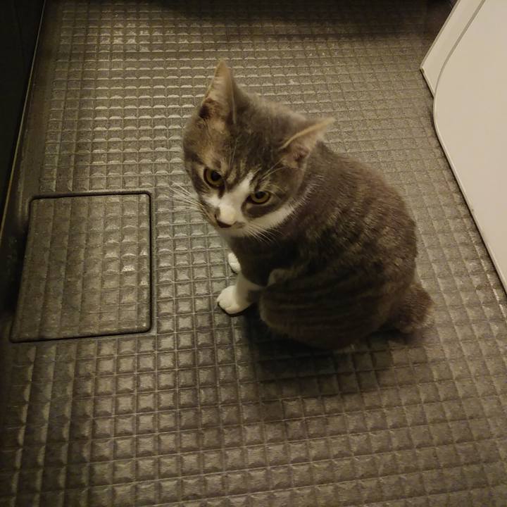 1d791a75 7a58 4b2e 8de2 7d2e4dde237b 1578657831580