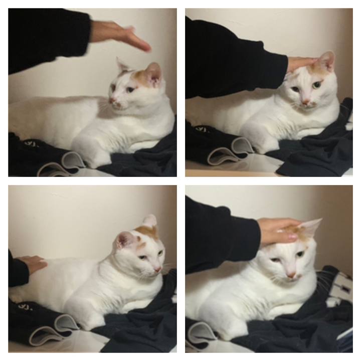 1d7973bb 7f92 423a b8fd 9d7a7fdd4ddc 1641556904889