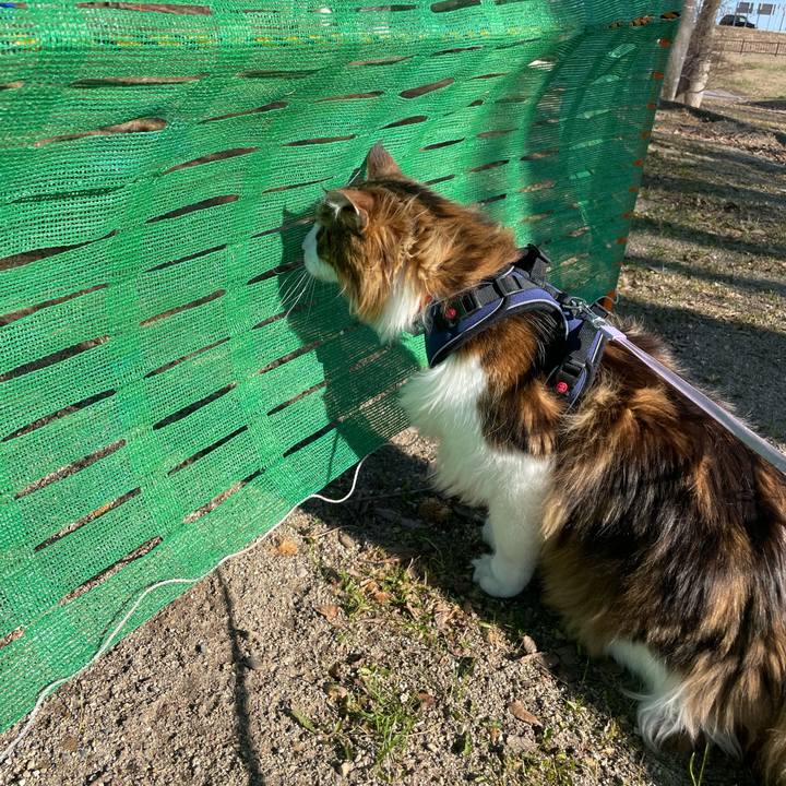 1d79b2eb 2964 4f35 a77e 7f4363627848 1680332642307