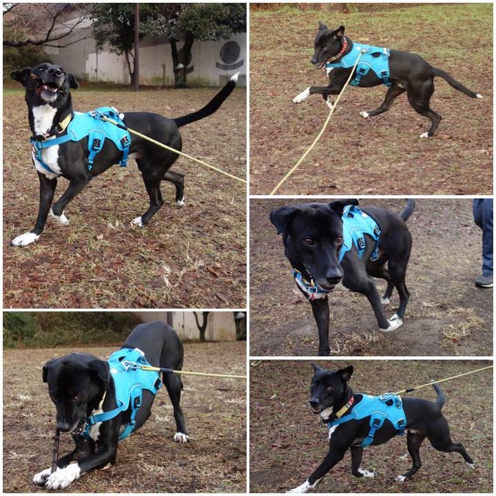 1d79d894 0c2d 48a3 8af6 3a12ef67f8b5 1611880805163