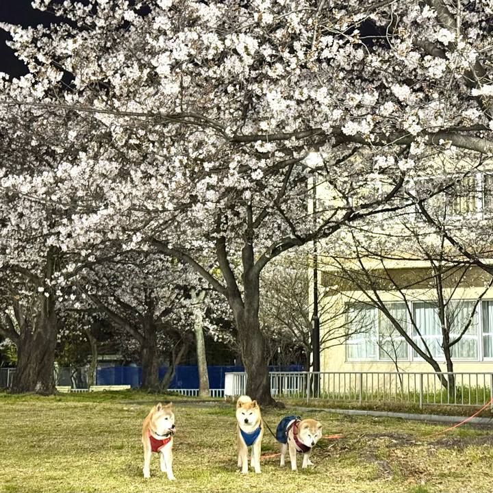 1d79f3b2 be25 4933 9edd f14da8d64ad6 1774711753787