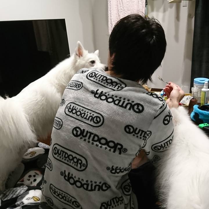 1d7a040e 1f69 4329 ac15 4ca1700a6a94 1549948549981