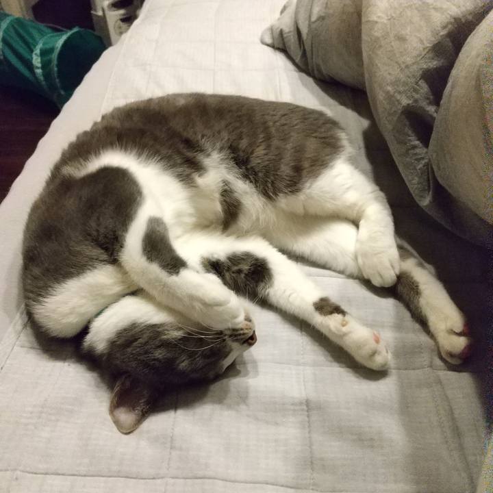 1d7a110f 073e 4b4f aeda c8aab17163ee 1636892531251