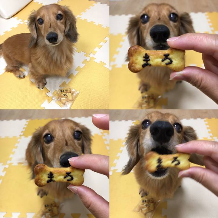 1d7a8838 0a78 4e5e a731 89b2fdf396b0 1597749886620