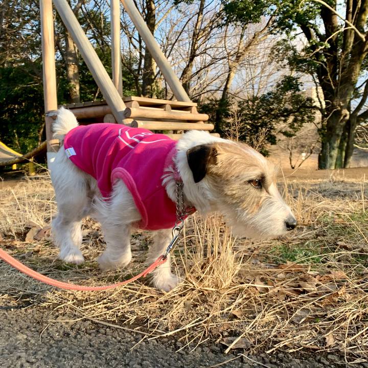 1d7aad87 7c5a 4715 b7be 3272bfc638eb 1612262179483