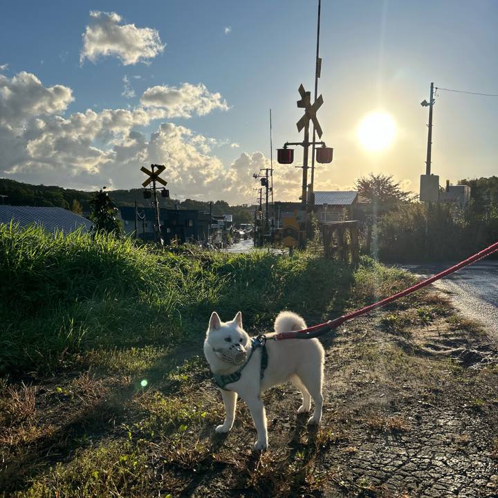 1d7ac748 50cb 4623 8bc7 8f9718246a57 1758922886557