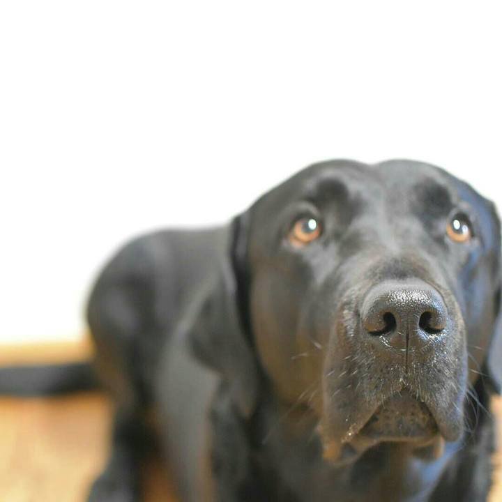 1d7ae0af 7995 4417 8776 7b662ff13109 1523535090641