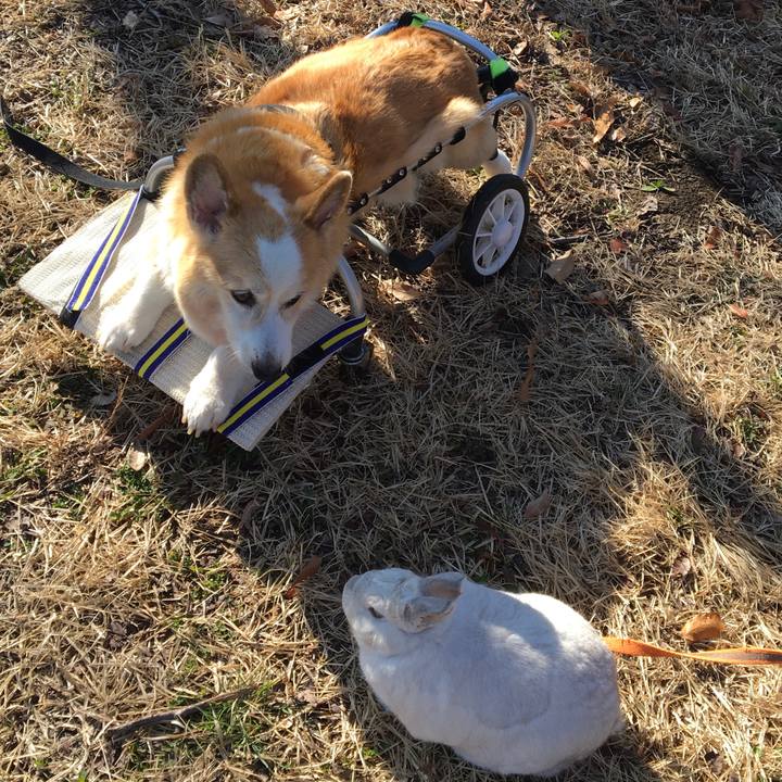 1d7ae2b8 4672 4d91 8ef5 e0d8933e3a68 1640217842928