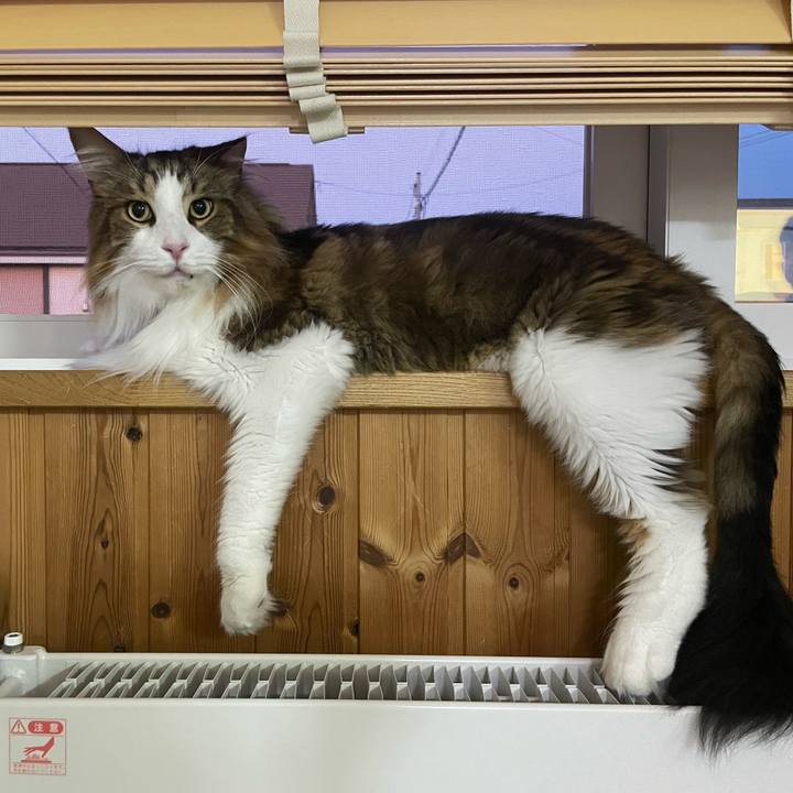 1d7b1e4c 528f 4fa6 a837 fc8ec802f01e 1692819479625